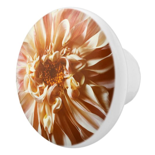 Rosa Dahlie Keramikknauf (Rechts)