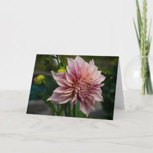 Rosa Dahlie Leere Grußkarte Feiertagskarte