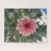 Rosa Dahlie, Palo Alto Puzzle (Horizontal)