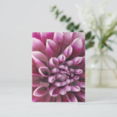 Rosa Dahlie Postkarte (Stehend Vorderseite)