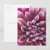 Rosa Dahlie Postkarte (Vorne/Hinten)