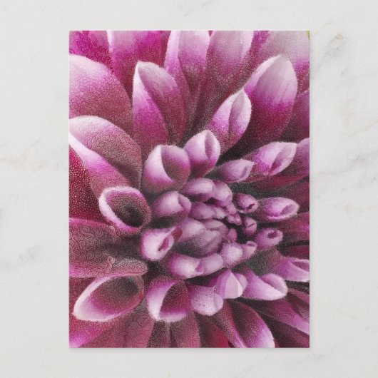 Rosa Dahlie Postkarte (Vorderseite)