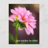 Rosa Dahlie Postkarte (Vorderseite)