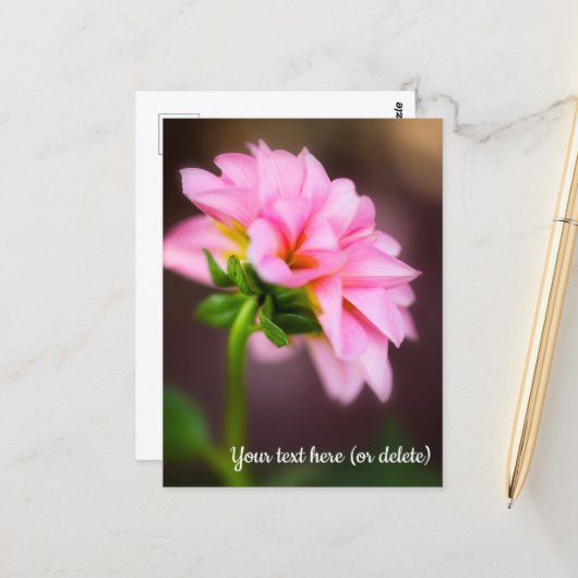 Rosa Dahlie Postkarte (Vorderseite/Rückseite Beispiel)