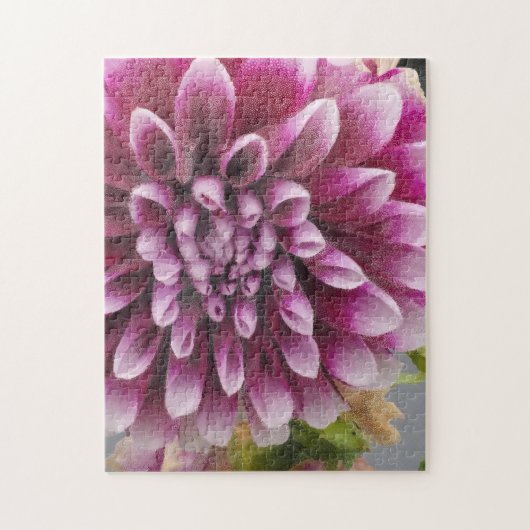 Rosa Dahlie Puzzle (Vertikal)