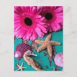 Rosa Daises und Seepferd mit Starfish Postkarte