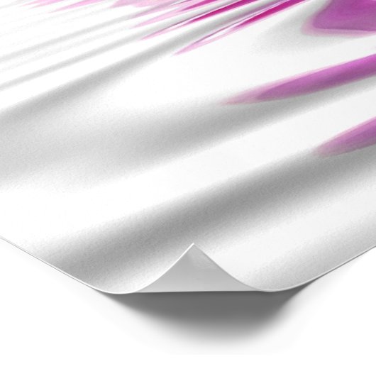 Rosa Daisie Poster (Ecke)