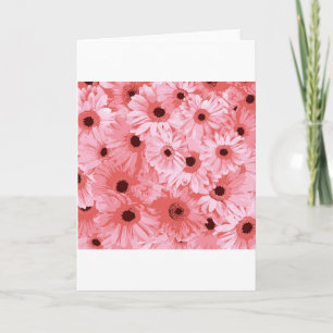 Rosa Daisy Blossoms Art Nature Peace Liebe Destiny Dankeskarte
