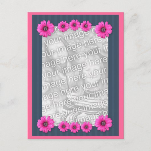 Rosa Daisy Blume Foto Postkarte (Vorderseite)
