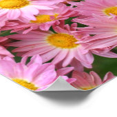 Rosa Daisy-Blume und Hummelspiegel Abstrakt Poster (Ecke)