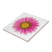 Rosa Daisy Blume Weißer Hintergrund Fliese (Seite)
