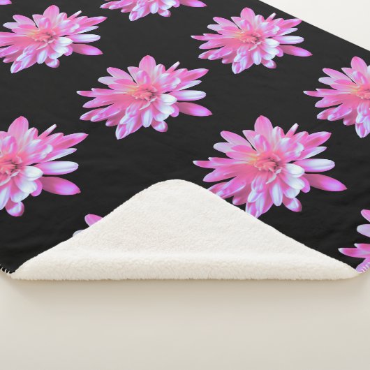 Rosa Daisy, blumengeschmücktes Foto Sherpadecke (3/4)