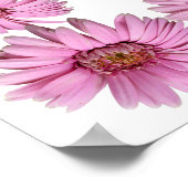 Rosa Daisy-Grenze im Hintergrund Poster (Ecke)
