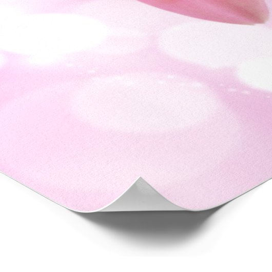 Rosa Daisy-Leinwand Poster (Ecke)