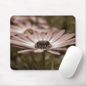 Rosa Daisy-Makro Mousepad (Mit Mouse)