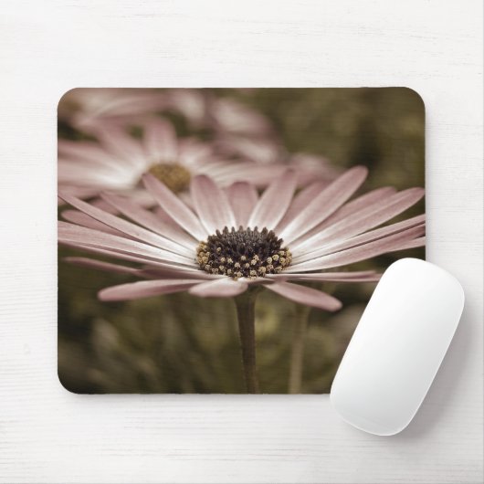 Rosa Daisy-Makro Mousepad (Mit Mouse)