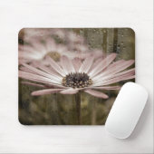 Rosa Daisy mit Regen am Fenster Mousepad (Mit Mouse)