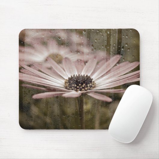Rosa Daisy mit Regen am Fenster Mousepad (Mit Mouse)