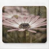 Rosa Daisy mit Regen am Fenster Mousepad (Vorne)