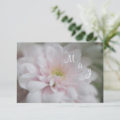 Rosa Daisy Mum Wedding Response RSVP Card Karte (Stehend Vorderseite)