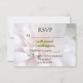 Rosa Daisy Mum Wedding Response RSVP Card Karte (Rückseite)
