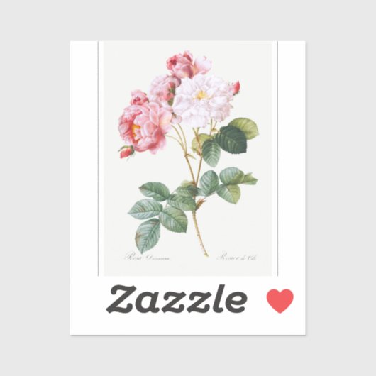 Rosa Damascena Aufkleber (Blatt)