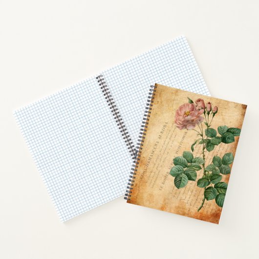 Rosa Damascena Notizblock (Innenseite)