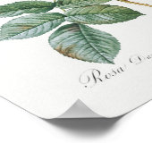 Rosa Damascena Poster (Ecke)