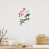 Rosa Damascena-Rose von Pierre-Joseph Redoute Poster (Küche)