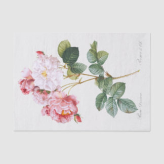 Rosa Damascena Seidenpapier