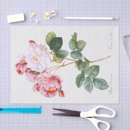 Rosa Damascena Seidenpapier (Handwerk)