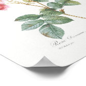 Rosa Damascena Vintag Poster (Ecke)
