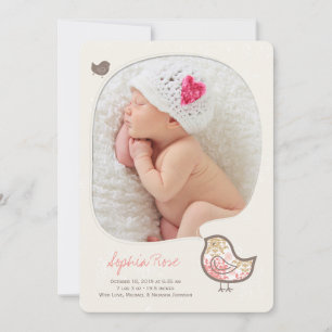 Rosa Damast Whimsical Küken Baby Mädchen Foto Gebu Ankündigung