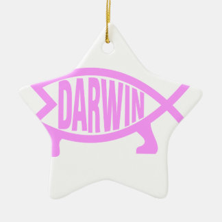 Rosa Darwin-Fische Keramik Ornament