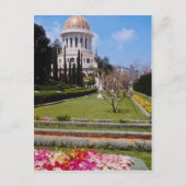 Rosa Das Weltzentrum des Bahai-Glaubens, Haifa, I Postkarte (Vorderseite)