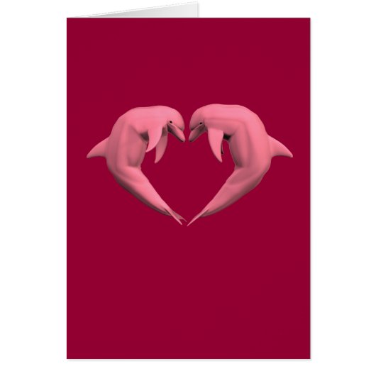 Rosa Delphine (Vorne)