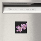 Rosa Dendrobium Orchid Blume auf Schwarz - Orchide Magnet (In Situ (Geschirrspüler))