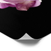 Rosa Dendrobium Orchid Blume auf Schwarz - Orchide Poster (Ecke)