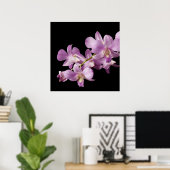 Rosa Dendrobium Orchid Blume auf Schwarz - Orchide Poster (Heimbüro)