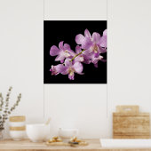 Rosa Dendrobium Orchid Blume auf Schwarz - Orchide Poster (Küche)