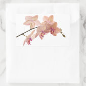 Rosa Dendrobium Orchid-Blume - Orchideenvorlage Rechteckiger Aufkleber (Tasche)