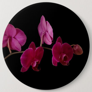 Rosa Dendrobium-Orchidee - kundengebundene Blumen Button