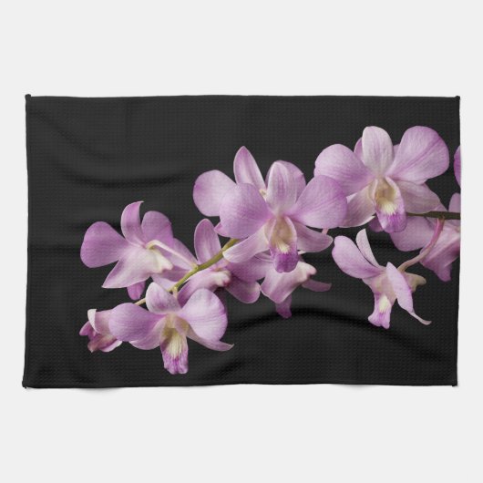 Rosa Dendrobium-Orchideen-Blume auf Schwarzem - Geschirrtuch (Horizontal)