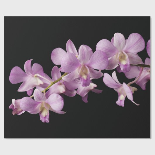 Rosa Dendrobium-Orchideen-Blume - Blumenorchideen Geschenkpapier (Flach)