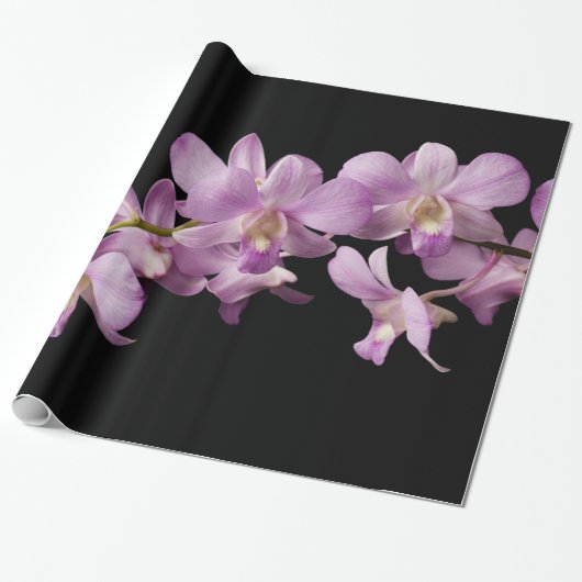 Rosa Dendrobium-Orchideen-Blume - Blumenorchideen Geschenkpapier (Ungerollt)