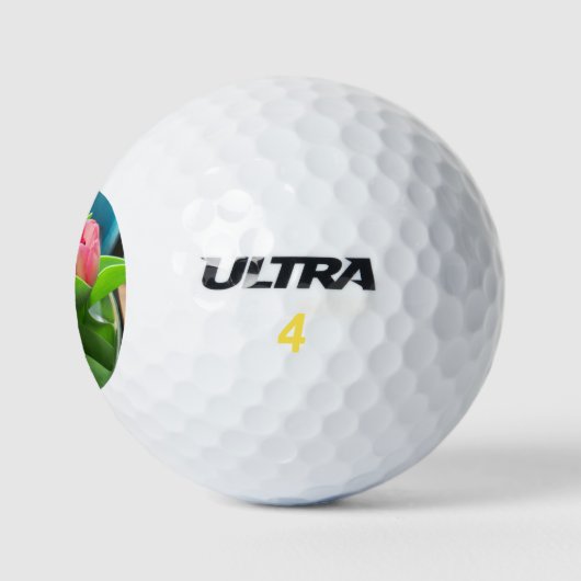 Rosa Desktop-Tulpen Golfball (Logo)
