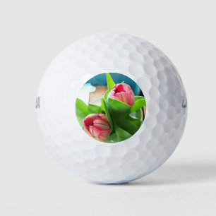 Rosa Desktop-Tulpen Golfball