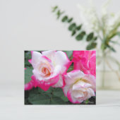 Rosa Destiny ［ Postcard ］ Postkarte (Stehend Vorderseite)