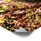 Rosa Deux Chevaux, Vintages französisches Auto. Poster (Ecke)