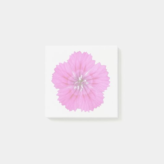 Rosa Dianthus Haftnotizen Post-it Klebezettel (Vorderseite)